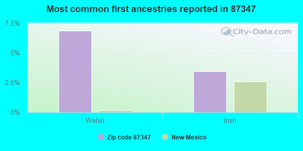 Most common first ancestries reported in 87347