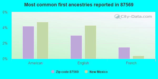 Most common first ancestries reported in 87569