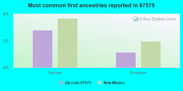 Most common first ancestries reported in 87575
