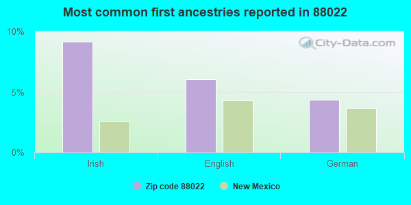 Most common first ancestries reported in 88022