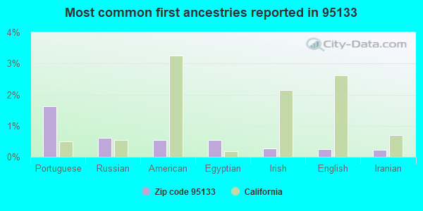 Most common first ancestries reported in 95133