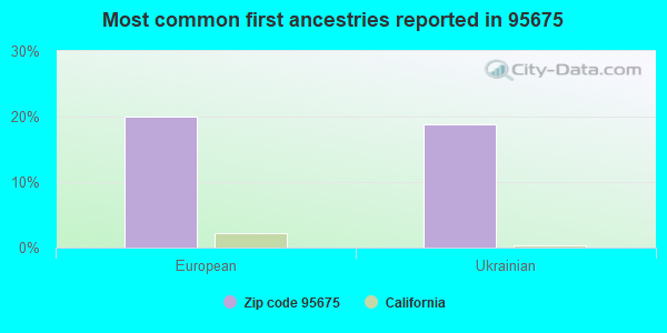 Most common first ancestries reported in 95675