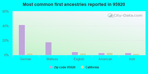 Most common first ancestries reported in 95920