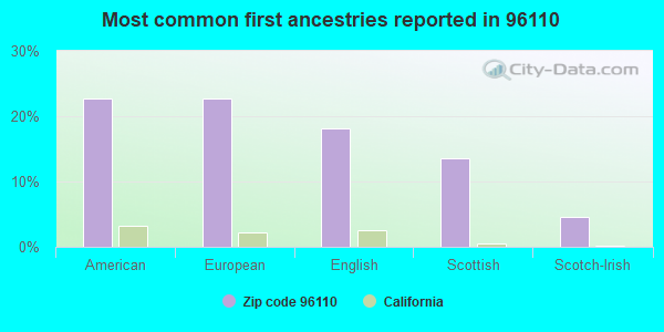Most common first ancestries reported in 96110