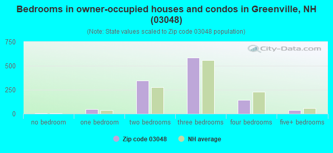 Bedrooms in owner-occupied houses and condos in Greenville, NH (03048) 