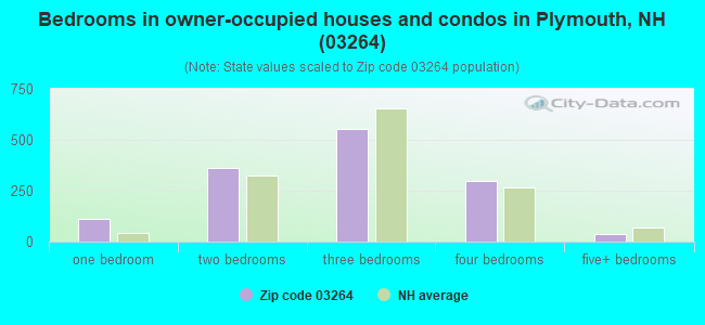 Bedrooms in owner-occupied houses and condos in Plymouth, NH (03264) 