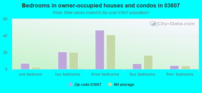 Bedrooms in owner-occupied houses and condos in 03607 