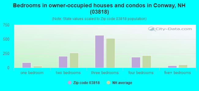 Bedrooms in owner-occupied houses and condos in Conway, NH (03818) 