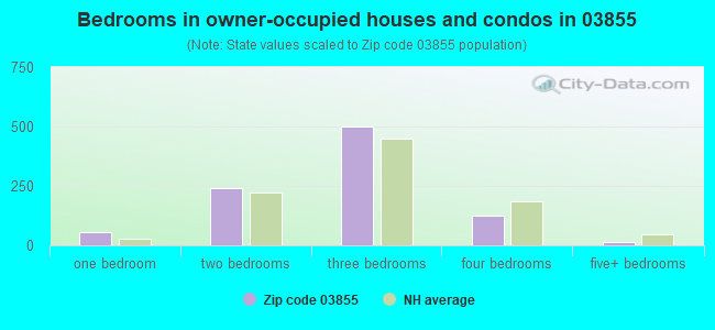 Bedrooms in owner-occupied houses and condos in 03855 