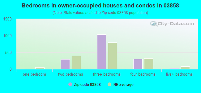 Bedrooms in owner-occupied houses and condos in 03858 