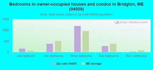 Bedrooms in owner-occupied houses and condos in Bridgton, ME (04009) 