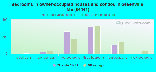 Bedrooms in owner-occupied houses and condos in Greenville, ME (04441) 