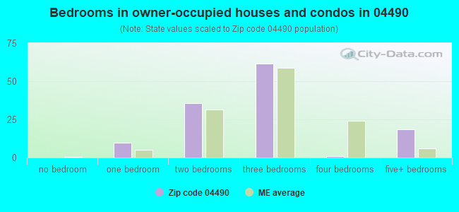 Bedrooms in owner-occupied houses and condos in 04490 