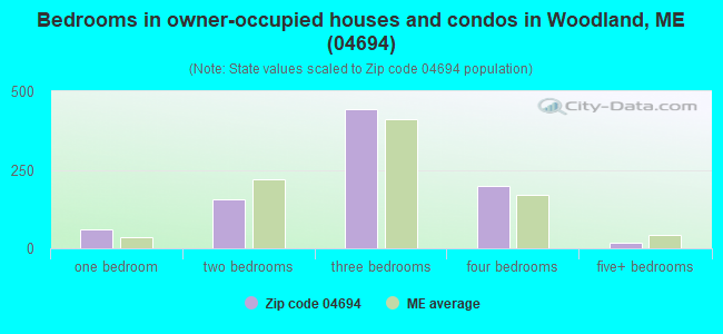 Bedrooms in owner-occupied houses and condos in Woodland, ME (04694) 