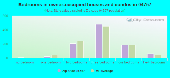 Bedrooms in owner-occupied houses and condos in 04757 