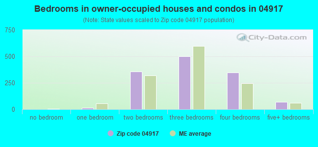 Bedrooms in owner-occupied houses and condos in 04917 