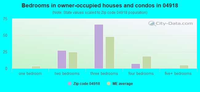 Bedrooms in owner-occupied houses and condos in 04918 