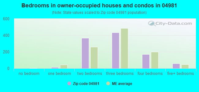 Bedrooms in owner-occupied houses and condos in 04981 