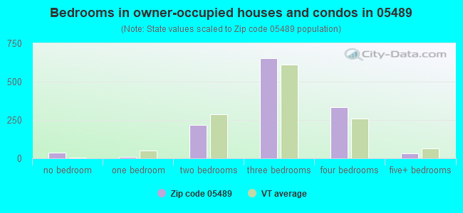 Bedrooms in owner-occupied houses and condos in 05489 