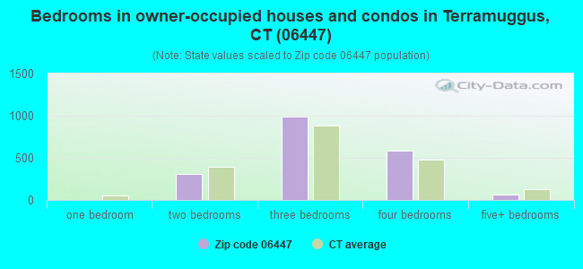 Bedrooms in owner-occupied houses and condos in Terramuggus, CT (06447) 