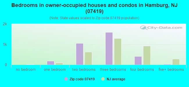 Bedrooms in owner-occupied houses and condos in Hamburg, NJ (07419) 