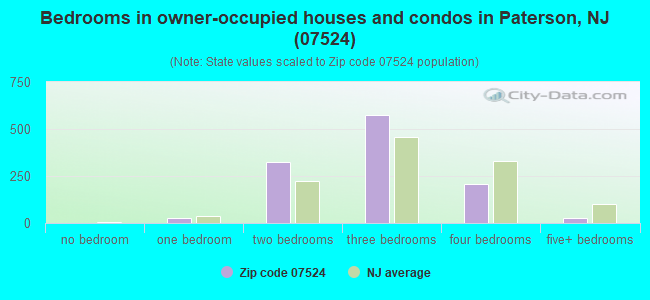 Bedrooms in owner-occupied houses and condos in Paterson, NJ (07524) 