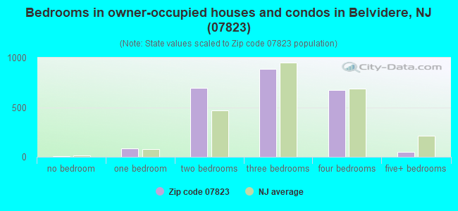 Bedrooms in owner-occupied houses and condos in Belvidere, NJ (07823) 