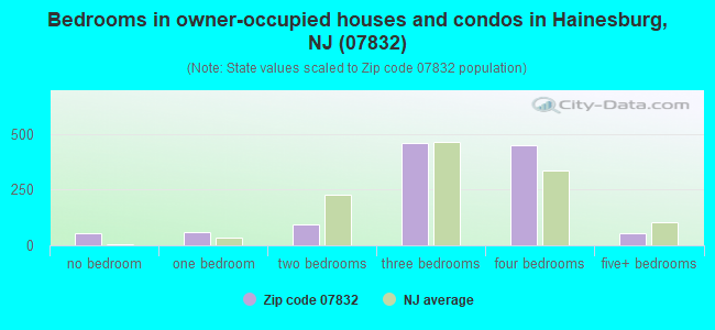 Bedrooms in owner-occupied houses and condos in Hainesburg, NJ (07832) 