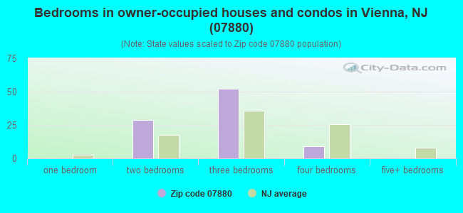 Bedrooms in owner-occupied houses and condos in Vienna, NJ (07880) 