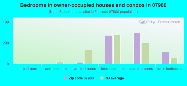 Bedrooms in owner-occupied houses and condos in 07980 