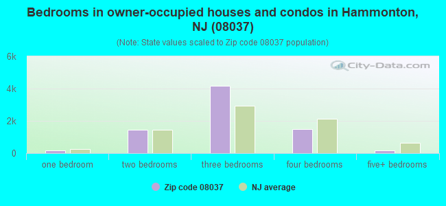 Bedrooms in owner-occupied houses and condos in Hammonton, NJ (08037) 