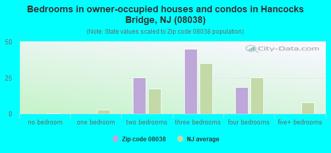 Bedrooms in owner-occupied houses and condos in Hancocks Bridge, NJ (08038) 