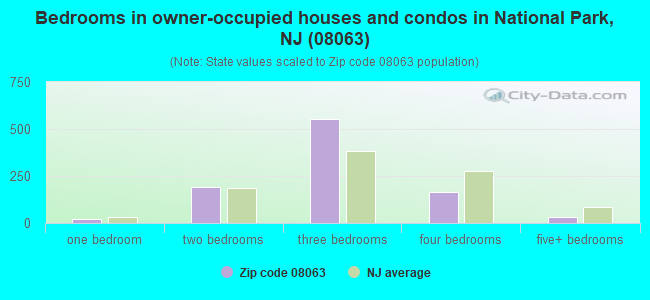 Bedrooms in owner-occupied houses and condos in National Park, NJ (08063) 