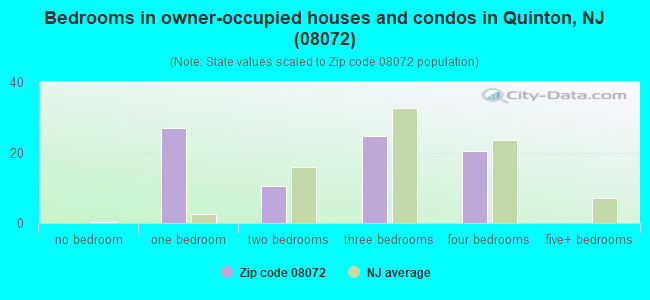 Bedrooms in owner-occupied houses and condos in Quinton, NJ (08072) 