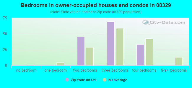 Bedrooms in owner-occupied houses and condos in 08329 