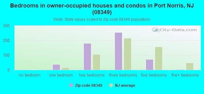 Bedrooms in owner-occupied houses and condos in Port Norris, NJ (08349) 