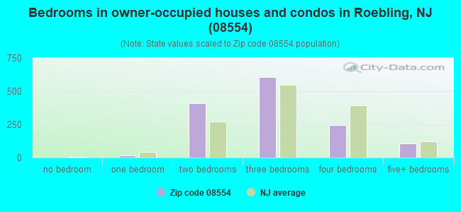 Bedrooms in owner-occupied houses and condos in Roebling, NJ (08554) 