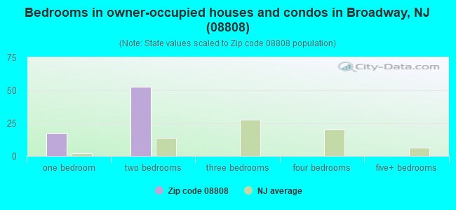 Bedrooms in owner-occupied houses and condos in Broadway, NJ (08808) 
