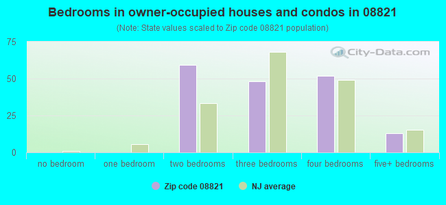 Bedrooms in owner-occupied houses and condos in 08821 