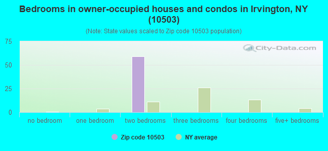 Bedrooms in owner-occupied houses and condos in Irvington, NY (10503) 