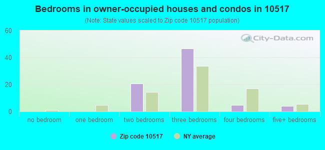 Bedrooms in owner-occupied houses and condos in 10517 