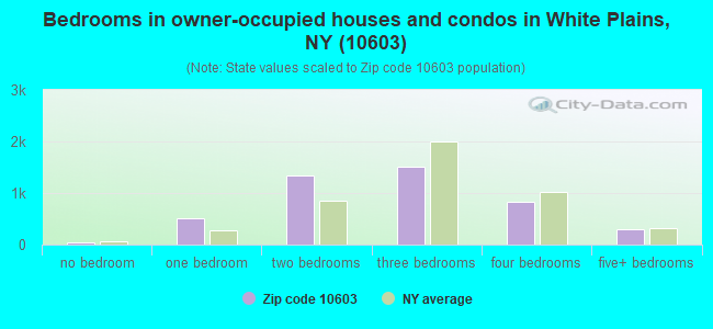 Bedrooms in owner-occupied houses and condos in White Plains, NY (10603) 