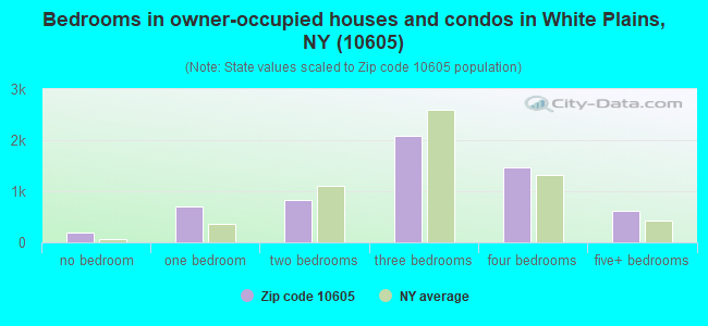 Bedrooms in owner-occupied houses and condos in White Plains, NY (10605) 