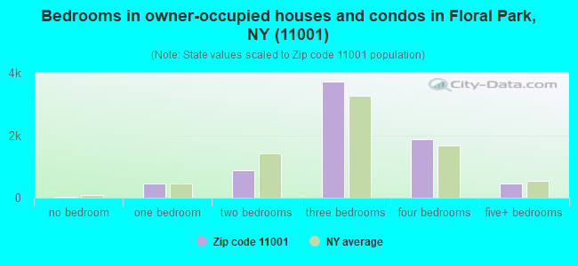 Bedrooms in owner-occupied houses and condos in Floral Park, NY (11001) 