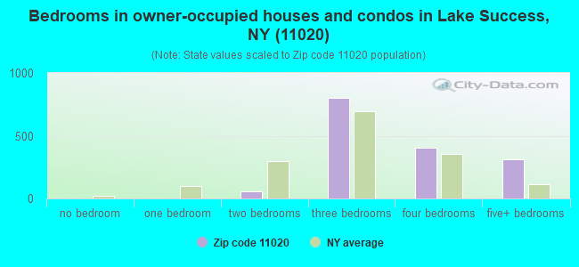 Bedrooms in owner-occupied houses and condos in Lake Success, NY (11020) 