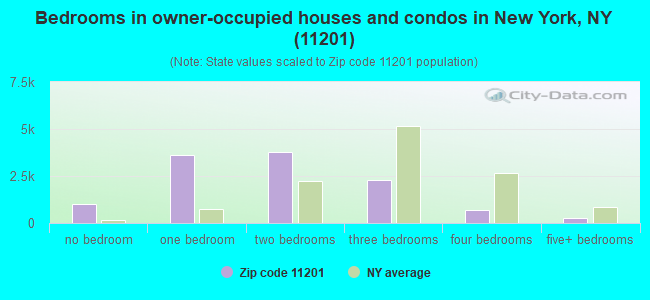 Bedrooms in owner-occupied houses and condos in New York, NY (11201) 