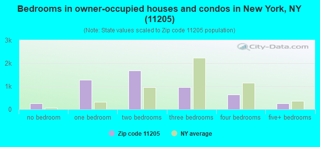 Bedrooms in owner-occupied houses and condos in New York, NY (11205) 
