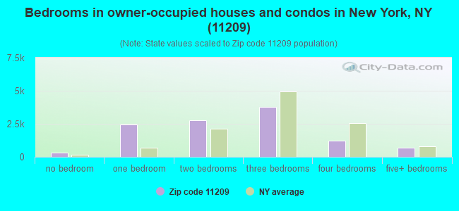 Bedrooms in owner-occupied houses and condos in New York, NY (11209) 
