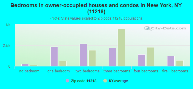 Bedrooms in owner-occupied houses and condos in New York, NY (11218) 