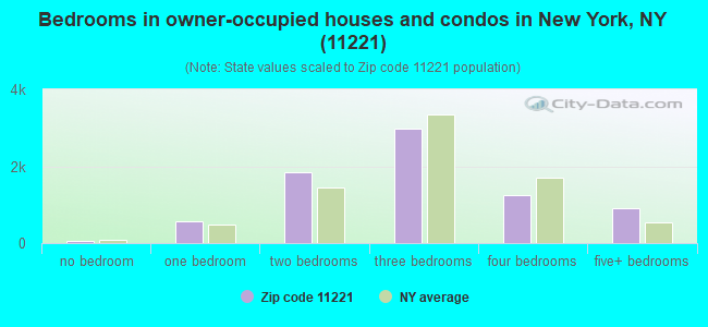 Bedrooms in owner-occupied houses and condos in New York, NY (11221) 